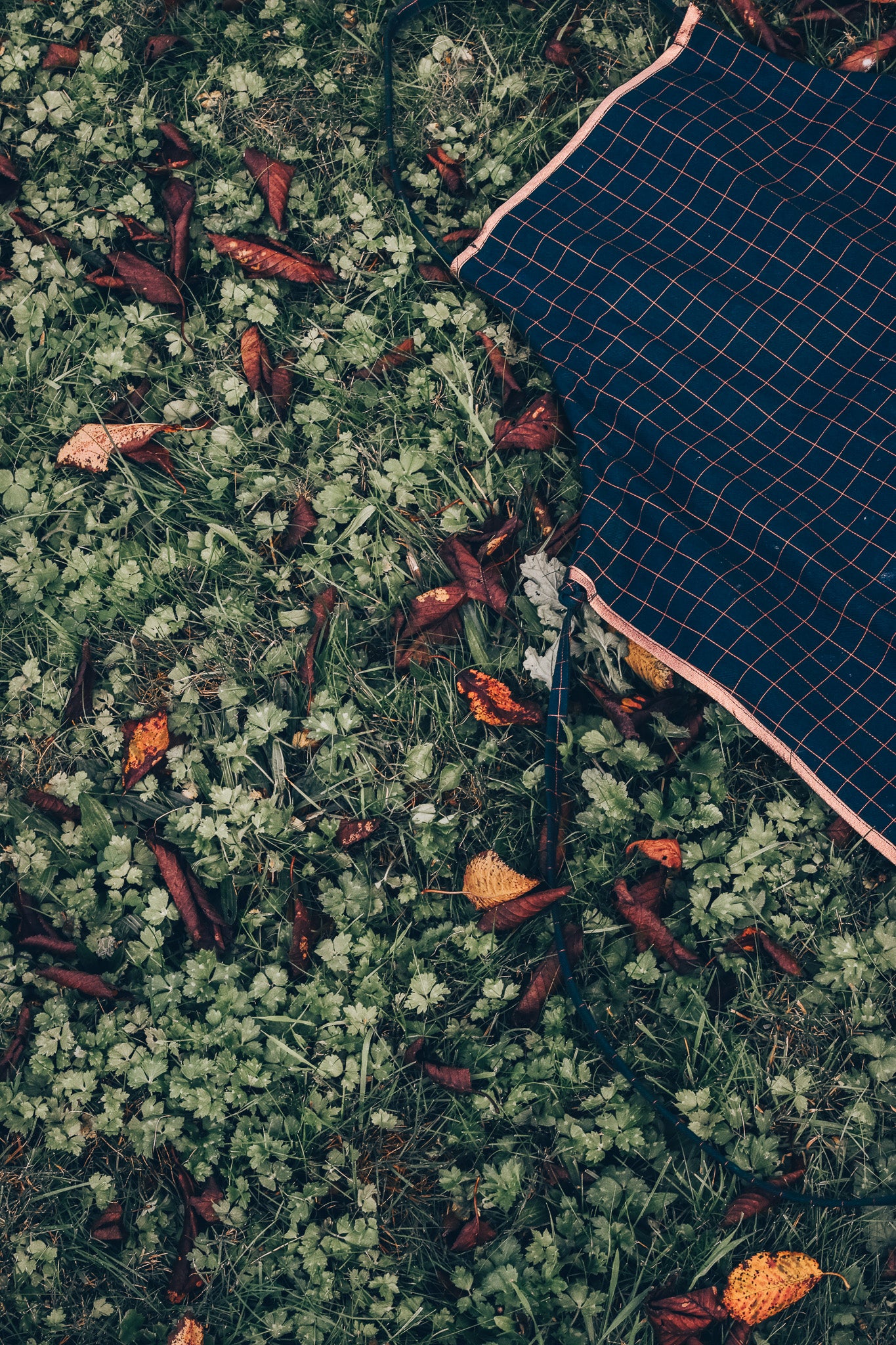 OP AANVRAAG: Keukenschort (kleur en stof op aanvraag)